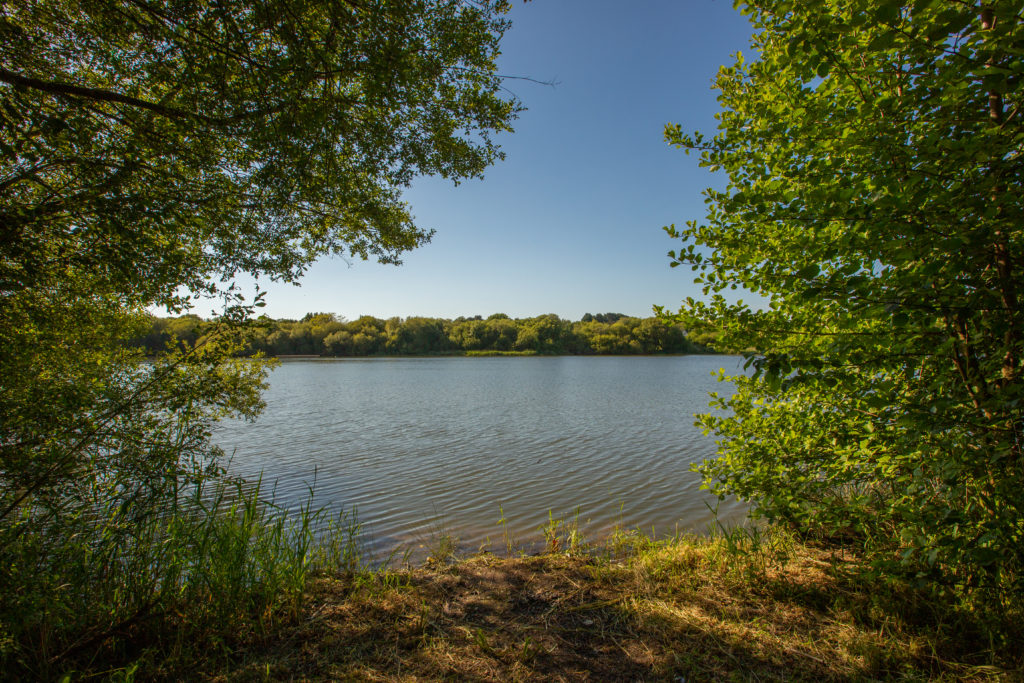 Etang de Guindreff